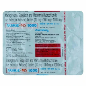 Voage MS 1000 Tablet