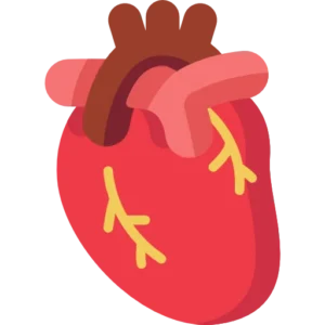 Heart Disease & Blood Thinners