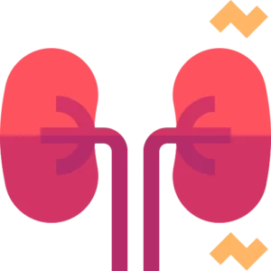 Kidney Care & Stones