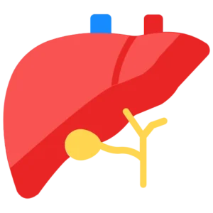 Liver & Appetite Health
