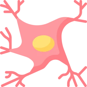 Nerve Pain & Neuropathy